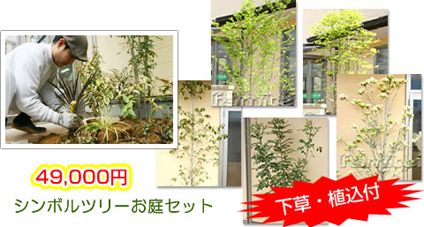 シンボルツリーセット¥49,000-は、こちらから