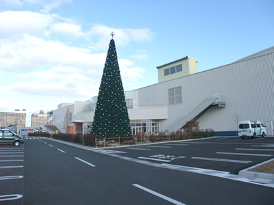 クリスマスツリー