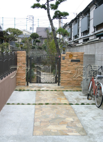 ���ץ�����