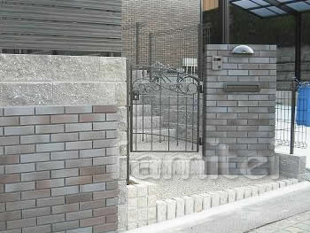ɽ��������