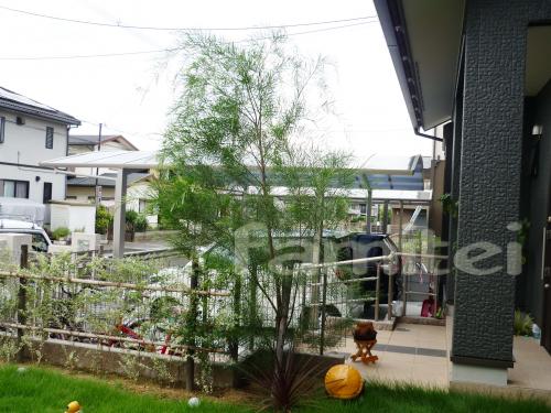  �մ�����