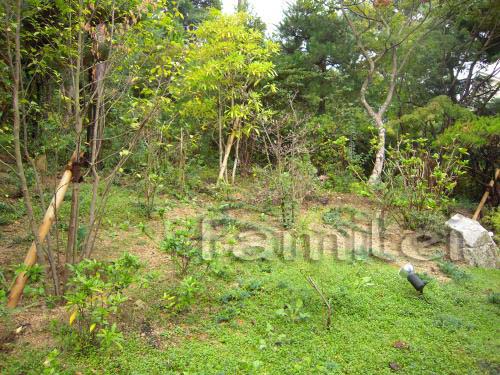 �ܹ���