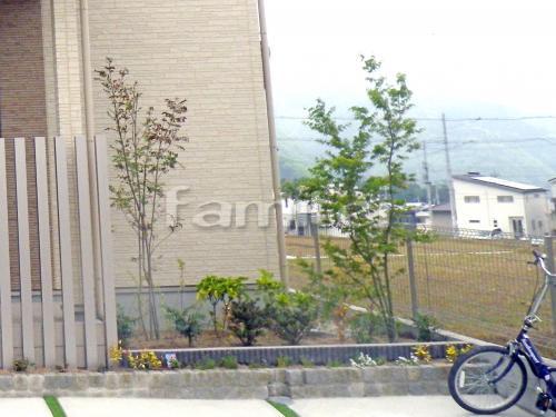 ����ܥ�ĥ꡼ �����ޥȥͥꥳ ���м� �������ϥ�ߥ� ���ռ� ���� ���� ����
