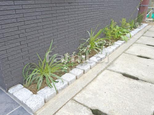 ピンコロ石花壇 ミカゲ 下草 植栽