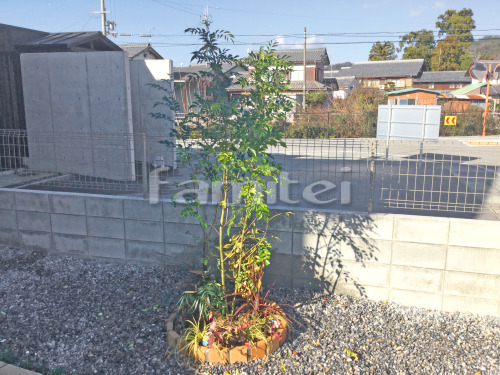����ܥ�ĥ꡼ ���ޥȥͥꥳ ���м� ���� ��󥬲��� ��˥��� �������� ��������ǥ�����