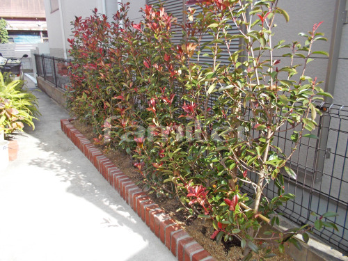 ��󥬲��� ��˥��� �������� ���� ��åɥ��ӥ� �������� ����