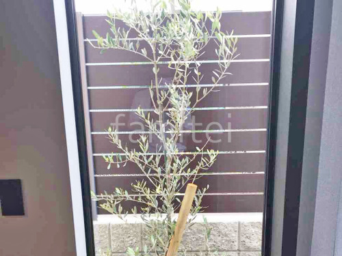 ����ܥ�ĥ꡼ ���꡼�� ���м� ����