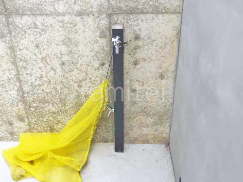Ω���� ��˥��� ���ץ쥹�����60 �ظ�2���դ�