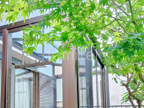 ���ο� �֥饦��