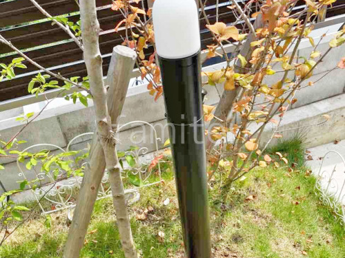 ���� Panasonic LED�ݡ���饤�� XLGEJ551HZ