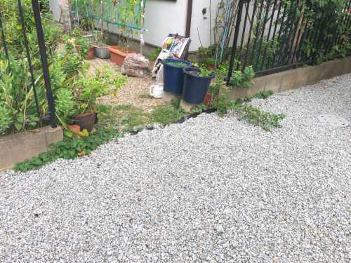 ���Ⱥ����ߤ� �Х饹���� ���𥷡��Ȳù�