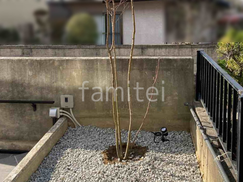 ����ܥ�ĥ꡼ ���ϥ����參���� ���ռ� ���� ���ݥåȥ饤�Ⱦ��� �������硼 De-SPOT Ĵ����� ����