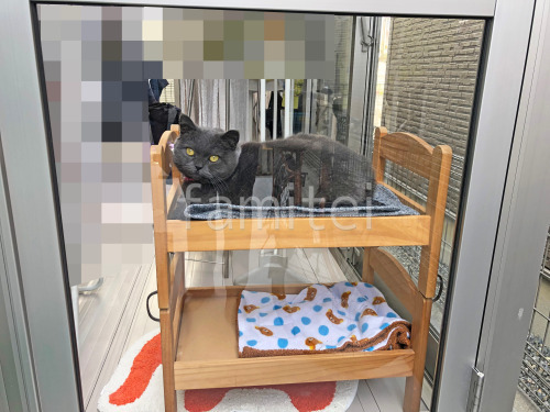 ���ο� �ץ���ʥ��ƥ�
