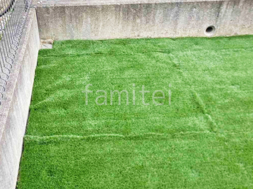 ���� �͹��� ���꡼��ե������ �衼���ԥ������ ���𥷡��Ȳù�