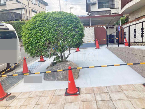 ��־쥬�졼���� �ڴ֥��󥯥꡼��