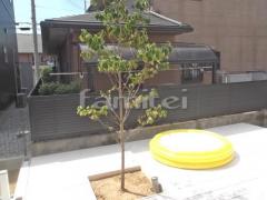 ����ܥ�ĥ꡼ �ϥʥߥ��� ���ռ� �����������ǥ�饤�Ⱦ��� TAKASHO�������硼 ����ץ륹�ݥåȥ饤��1�� �⥸�塼�륿����