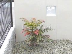 ���� �ҥ��饮 ���м� ����