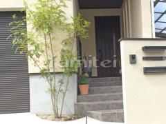����ܥ�ĥ꡼ ���ޥȥͥꥳ ���м� ����