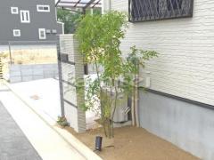 ����ܥ�ĥ꡼ ���ޥȥͥꥳ ���м� ���� �����������ǥ�饤�Ⱦ��� TAKASHO�������硼 ���ݥåȥ饤��1�� �⥸�塼�륿����