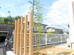 シンボルツリー シマトネリコ 常緑樹 植栽