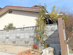 ����ܥ�ĥ꡼ ���ޥȥͥꥳ ���м� ���� ���� ���� ��󥬲��� ��˥��� ��������