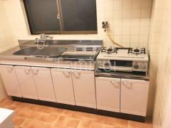 ���ƥ�쥹����ȥå� �ե�����륢���ܥ꡼ W210