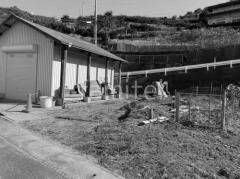 �ܹ���