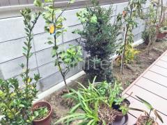 ����ܥ�ĥ꡼ ����