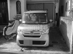 �ܹ���