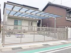 本体色 シャイングレー