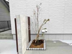 シンボルツリー