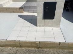 ���إ��ץ����� ������Ž��ž� �˥å��� ���å����饷����