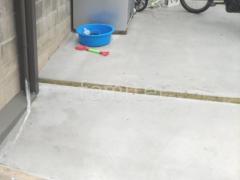 ��־쥬�졼���� �ڴ֥��󥯥꡼��