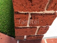 ���ʽ ���ι��� �ץꥦ���֥�å� �ץ�֥�å� �饤��