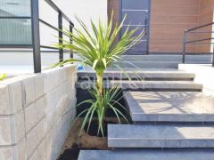 ����ܥ�ĥ꡼ �ɥ饻�� ���м� ����