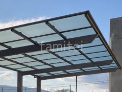 ���ο� ���㥤�󥰥졼 ������ ���ꥢ�ޥåȣ�(Ǯ������)