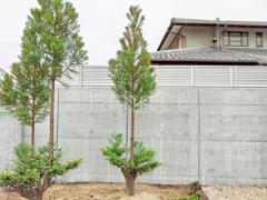 フル木製調テラス屋根 目隠しフェンス塀 立水栓