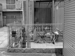 �ܹ���