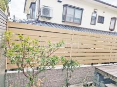 ���ο� �ҥΥ�