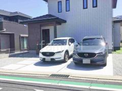 ��־쥬�졼���� �ڴ֥��󥯥꡼��