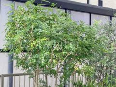 目隠しパネル(正面 前面)2段